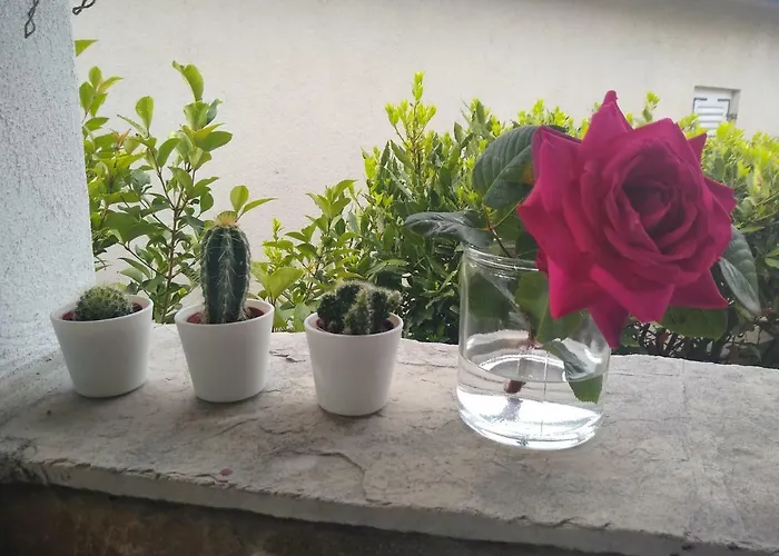 Willy Διαμέρισμα *