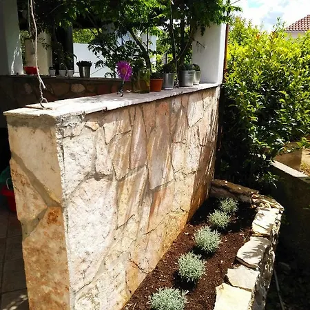 Willy * Milna (Brac)