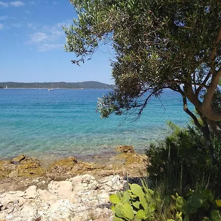 Willy * Milna (Brac)