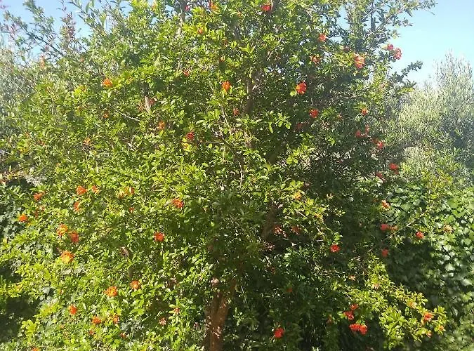 Appartamento Willy *